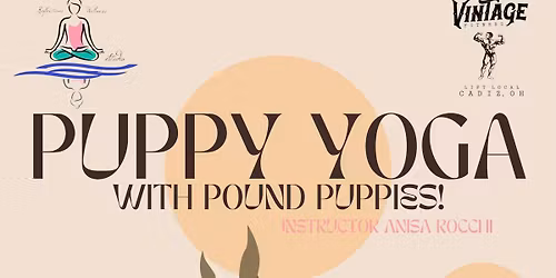 Puppy yoga pound puppy fundraiser 