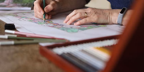 Designing colourful borders for year-round interest