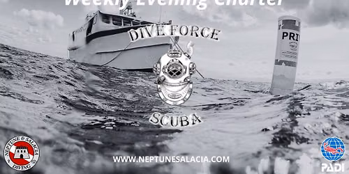 Thursday Evening Dives with Dive Force Scuba