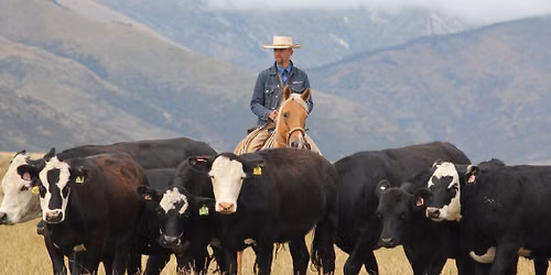Horsemanship & Cattlework Clinic: Napa, CA