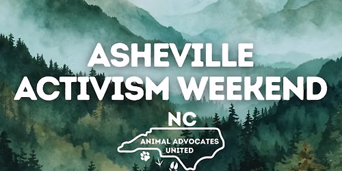 NCAAU Goes to the Mountains \u2502 Animal activism weekend in Asheville