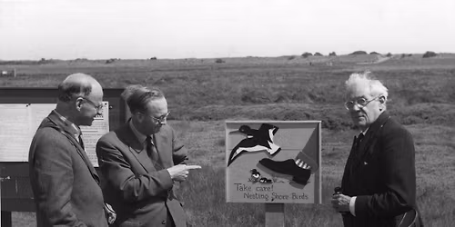 Talk: One good Tern deserves a Shorebird Warden