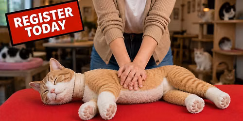 Pet CPR and First Aid Certification Class Tiverton, RI