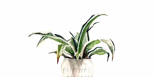 Pot Plant Portrait: Watercolour Still-Life