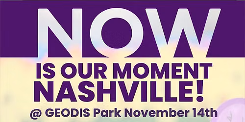 Music City Phins Walk to End Alzheimer\u2019s 2026