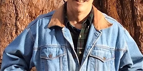 Shakespearean Dramaturgy in Action