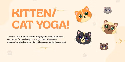 Kitten/Cat Yoga