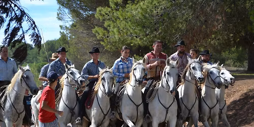 FOTO- UND VIDEOCLUB LOHHOF - GLEICH UND DOCH VERSCHIEDEN