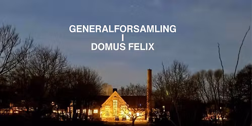 Generalforsamling i Domus Felix