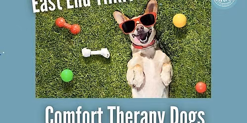 Comfort Therapy Dogs