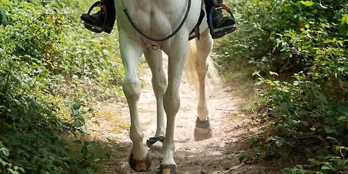 Concours TREC EPONA