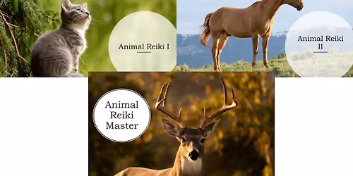 Animal Reiki I, II and Master - $40, $75 and $60 - Fulton