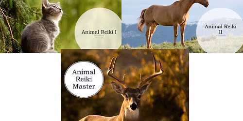 Animal Reiki I, II and Master - $40, $75 and $60 - Fulton