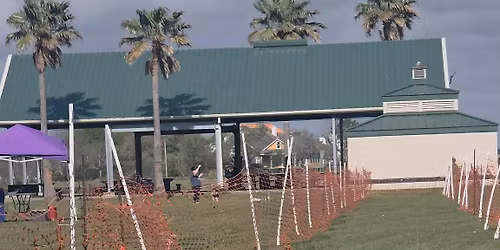 THE SHETLAND SHEEPDOG CLUB OF HOUSTON 3 DAY ALL BREED FASTCAT MEMORIAL WEEKEND.