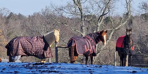 South Carolina 4-H Legislative Day 2026