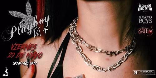 PLAYBOY Vol. 4