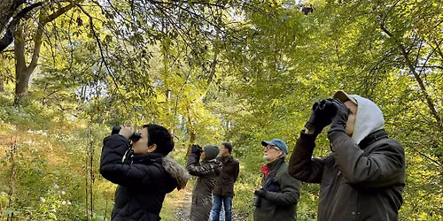 2026 Fall Bird Walk