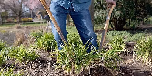 Propagation: Cuttings, Layering & Splitting \u2013 Gardening Workshop