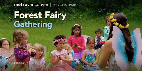 Forest Fairy Gathering