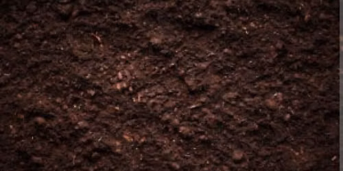 Hands on Soil Science!