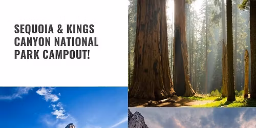 Sequoia & Kings Canyon: Where Giants & Waterfalls Meet
