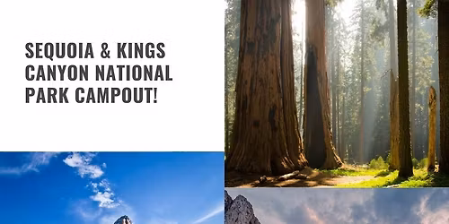 Sequoia & Kings Canyon: Where Giants & Waterfalls Meet