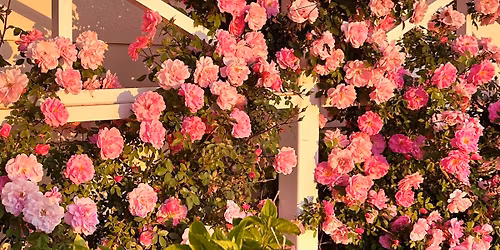 Idaho Falls Garden Club Tour ~ Summer 2026!