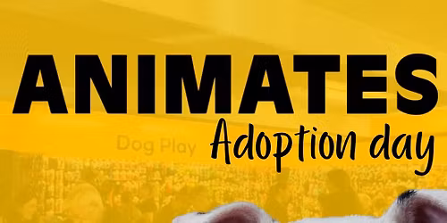 Animates Richmond Road Adoption Day