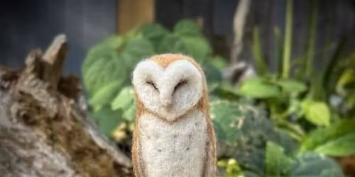 Owl Needle Felting Workshop with Jo Gardiner