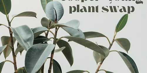 Cooper-Young Plant Swap