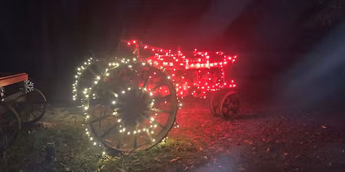 Fredricks Christmas Lights