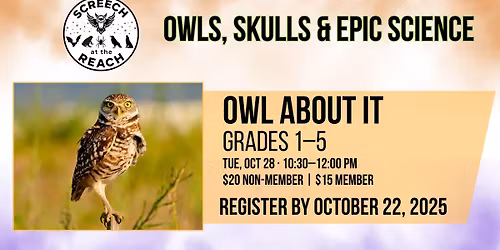 Homeschool Class: Owl About It
