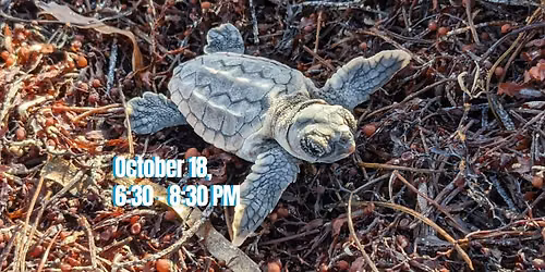 Bill Baggs FIRESIDE TALKS: Turtles, Tides & Tales from the Deep