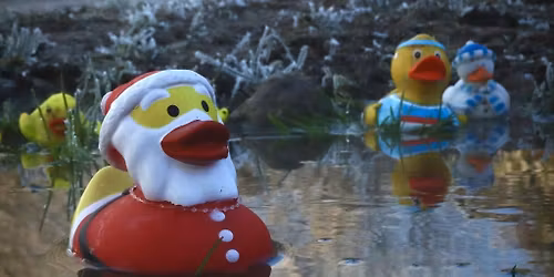 Christmas Day parkrun