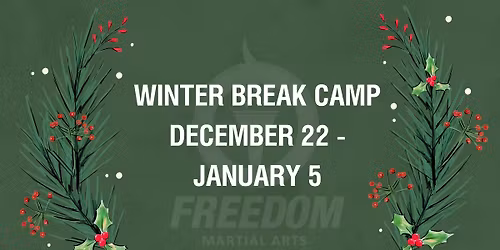 Winter break camp