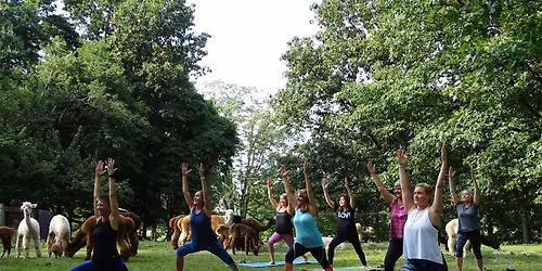 Paca Yoga