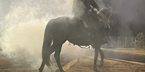 Trail Horse Competition