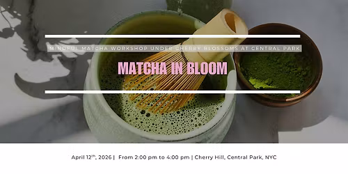Matcha in Bloom