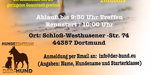 Hunderennen Hundezentrum Der-Hund