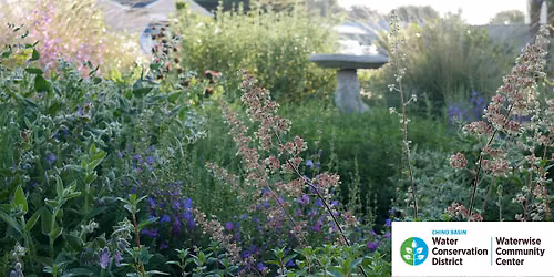 Installation and Establishment of California Native or Waterwise Gardens