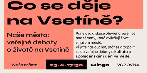 Co se d\u011bje na Vset\u00edn\u011b? | kultura | Na\u0161e m\u011bsto: ve\u0159ejn\u00e9 debaty o \u017eivot\u011b na Vset\u00edn\u011b