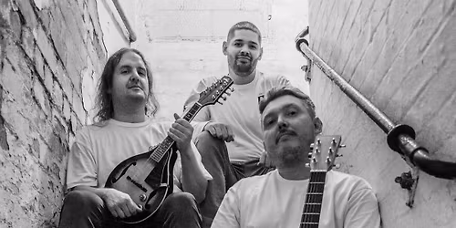 Matt,Nat and the Cat