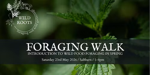 Saltburn Wild Food Foraging Walk May 2025