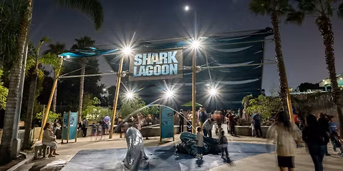 Free Shark Lagoon Nights