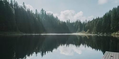 Restore in Nature - Movement + Mindfulness Day Retreat