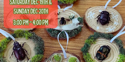 Bug Ornament Making Workshop - December 2026