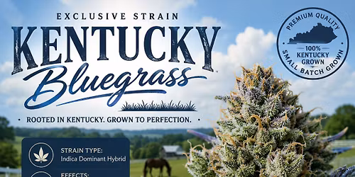 Introducing Kentucky Bluegrass