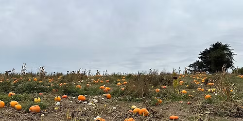 October Parent and Baby Walk - Canterbury (Halloween Special)