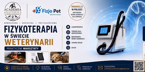 Fizykoterapia w \u015bwiecie weterynarii