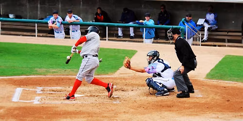 Columbia Fireflies at Myrtle Beach Pelicans
